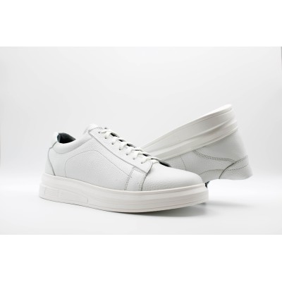 |مدل فلورانس |مدل فلورانس