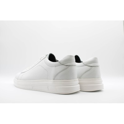 |مدل فلورانس |مدل فلورانس