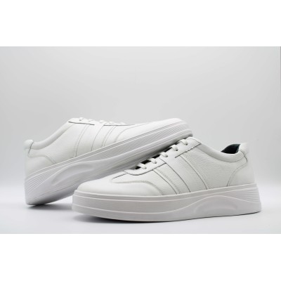 |مدل ونوم |مدل ونوم