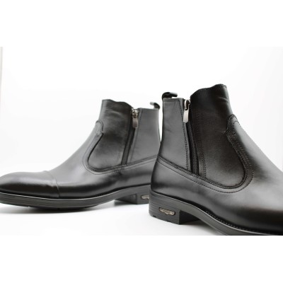 |مدل رابرت |مدل رابرت