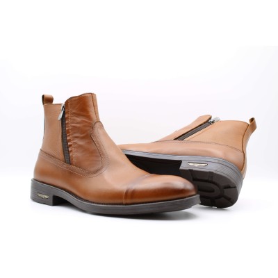 |مدل رابرت |مدل رابرت