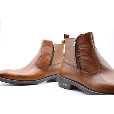 |مدل رابرت |مدل رابرت